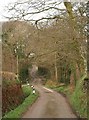 SX2581 : Lane near Trevell by Derek Harper
