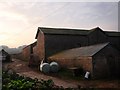 Working farm, near Broadsands beach