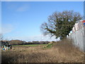 Field to the north of Station Road, Hayling