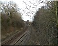 Railway Cutting, Norwich to Cambridge Line, Harford Bridge