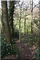 Path Down Through Berrow Wood