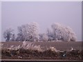 Mound in field near Leeds Road, Lofthouse.