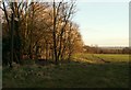 A public footpath by Great Wigborough church