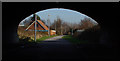 The Cycle Track under the Bridge.