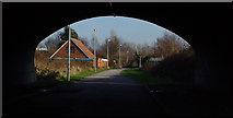 TA1329 : The Cycle Track under the Bridge. by Peter Church