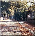 Wellington Road, Whalley Range, Autumn