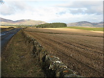 NT2657 : Farmland near Mount Lothian by M J Richardson