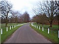 White fencing near Wiseton Hall