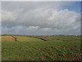 Surroundings of Caudworthy Water