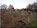 Watermill Lane Allotments, Sidley