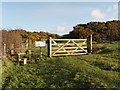 Field gate into Warbstow Bury