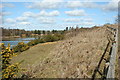 Sand and gravel pit, near Stanway