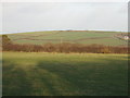 View across the River Ottery from Penhale