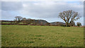 View towards Peckforton Hills