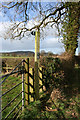 Stile in Cholmondeley Estate