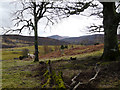 Near Little Rogart