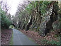 Rock buttresses