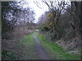 Further along the footpath to Horsehay.