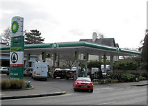 J3371 : Petrol Station, Malone Road, Belfast by Rossographer