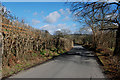 The B4342 west of Llangeitho