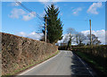 The B4342 near Derlwyn