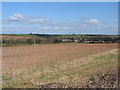 Farmland near Trippenkennett