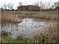 Scott Road wildlife pond