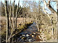 Glensone Burn at Kinharvie Bridge near the Solway Fishery