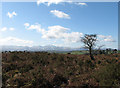 View from Llandefalle Common