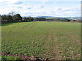 Farmland north of Welsh Newton