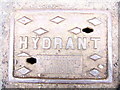 Hydrant Cover, Great Barrow