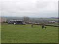 SX1793 : Newham Farm, Collamoor Head by David Hawgood