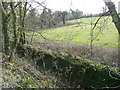 Field near Carnanton