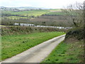 Trenowth Nurseries