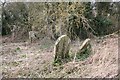 Apesthorpe cemetery