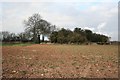 View to Apesthorpe cemetery