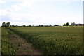 Fields by Benthill Farm