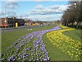 Eastern Way, Carlisle