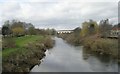 River Wharfe from Bridge Street