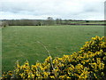 Pastures near Trevidgeowe Farm