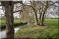 Tree lined River Thame