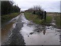 Country Lane at Moneyrannel