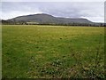 Glebe Townland