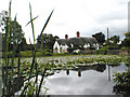 Pond & thatched cottage at Badger