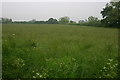 The Bernwood Way above the A41