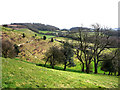 Looking east from Park Hill, across Vineyard Hole