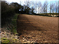 Field boundary with pit in the distance