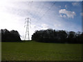 SU6923 : Pylons, looking towards Rookham Copse by Chris Gunns
