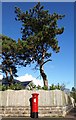 Pillar box and pine tree, Lincombes