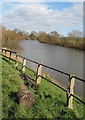 SO8427 : River Severn, upstream towards Tewkesbury by Pauline E
